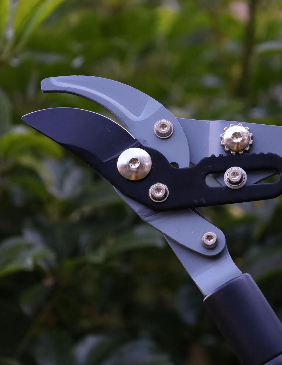 Darlac Telescopic Bypass Lopper - Image 3