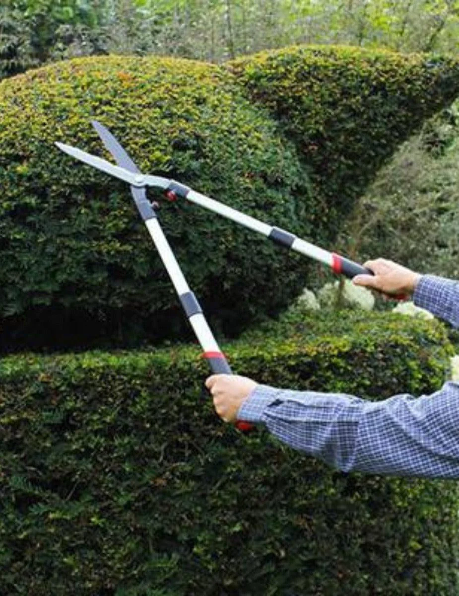 Darlac Telescopic Hedge Shear - Image 3