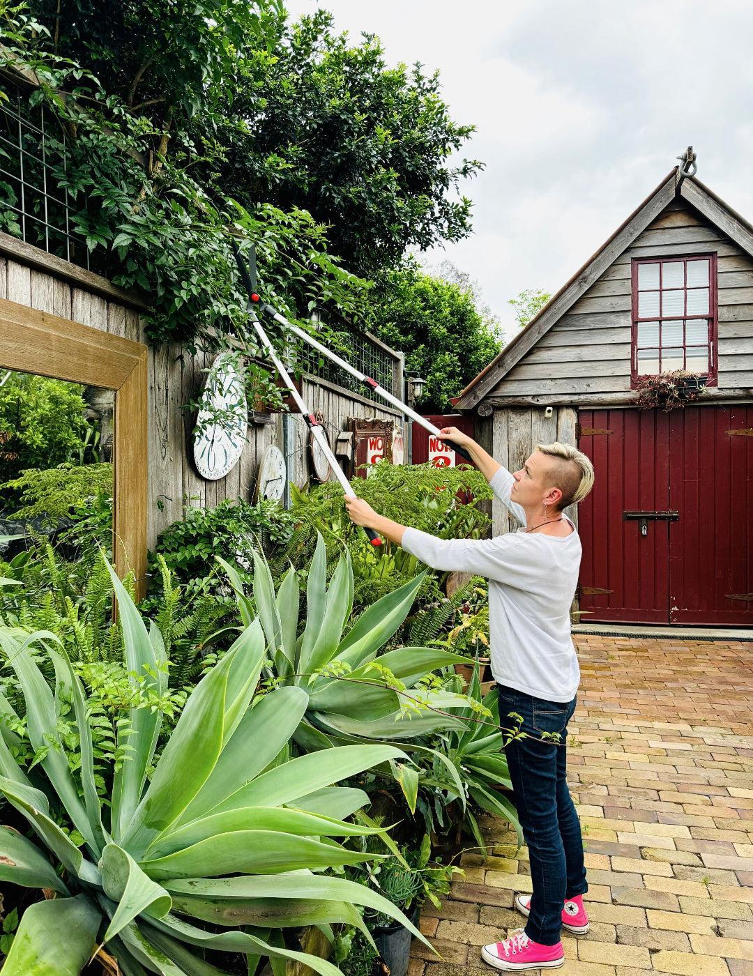 Darlac Telescopic Lawn and Hedge Shear - Image 4