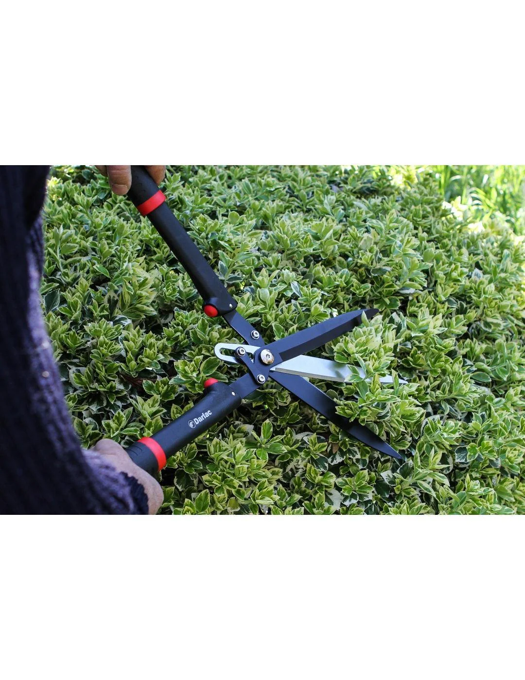 Darlac Tri-Blade Shear - Image 2
