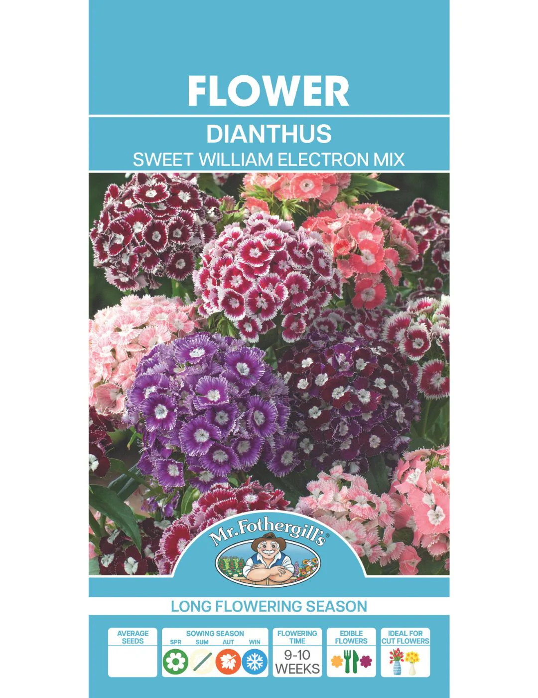 Dianthus Sweet William Electron Mix Seeds - Image 2