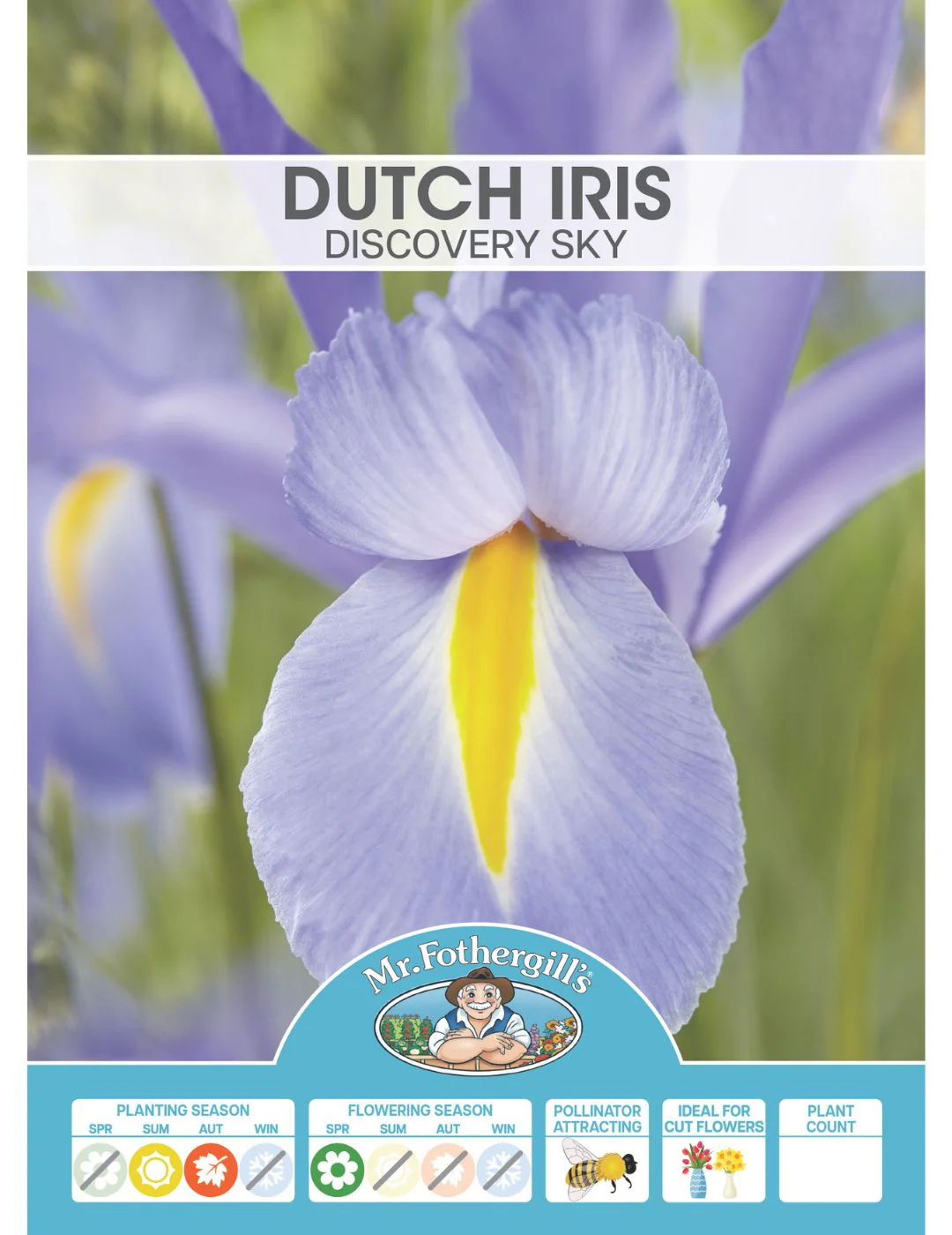 Dutch Iris Discovery Sky Bulbs - Image 2
