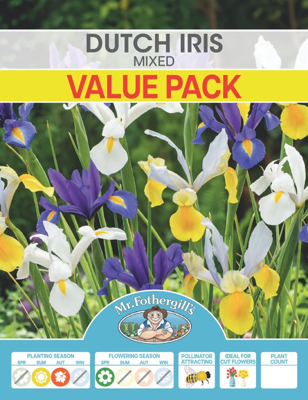 Dutch Iris Mixed Bulbs Value Pack - Image 2