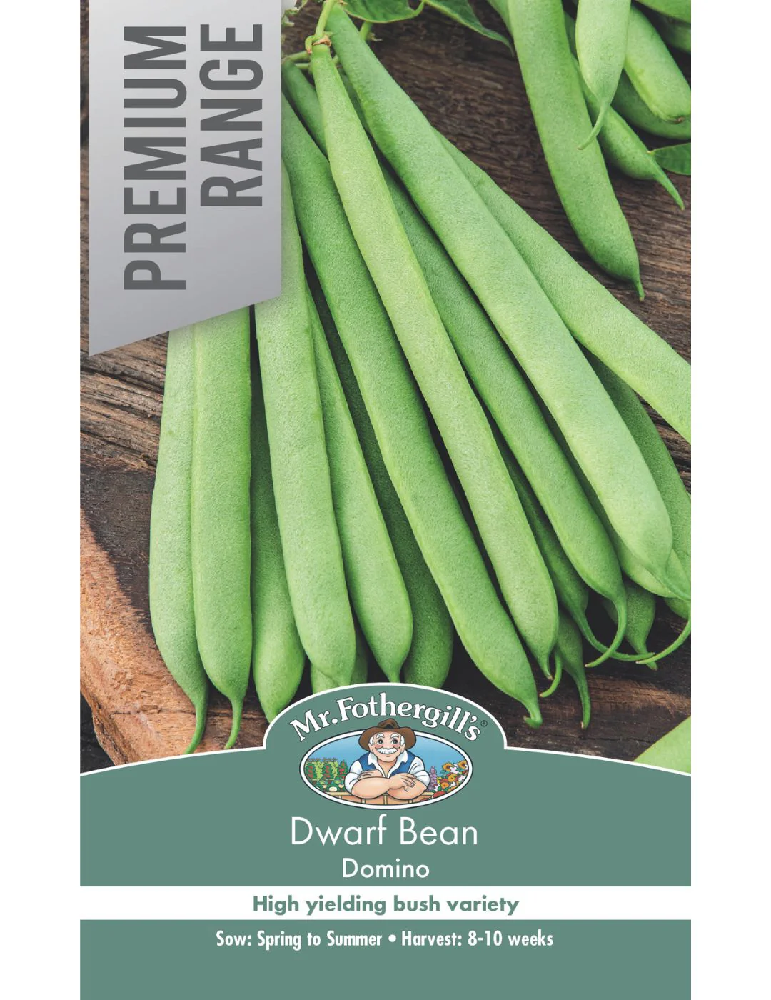 Dwarf Bean Domino - Image 2