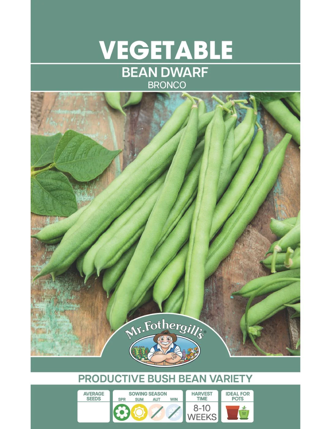 Dwarf Bronco Bean Seeds