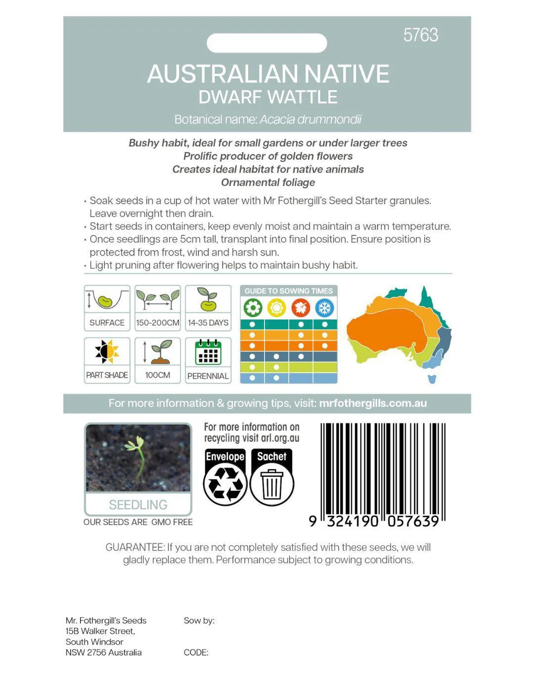Dwarf Wattle WILDFLOWER - Image 3
