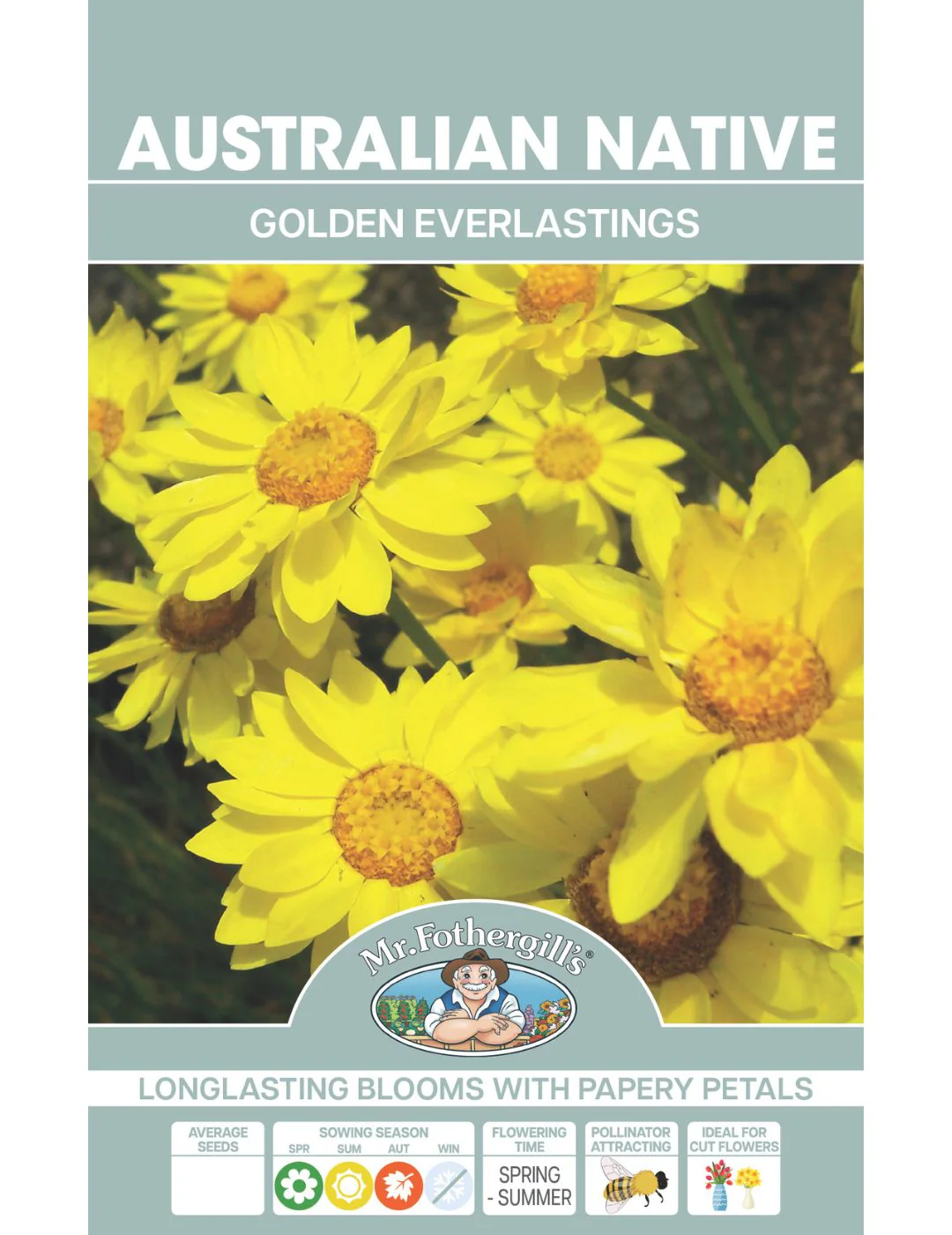 Golden Everlastings Daisies WILDFLOWER - Image 2