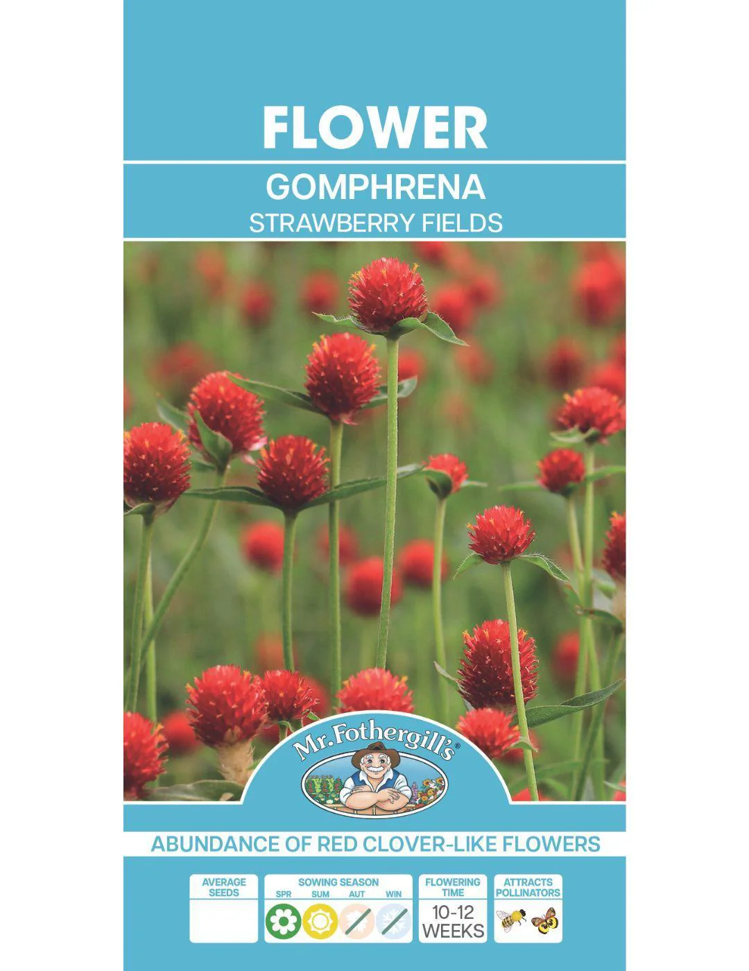 Gomphrena Strawberry Fields (Seeds) - Image 2