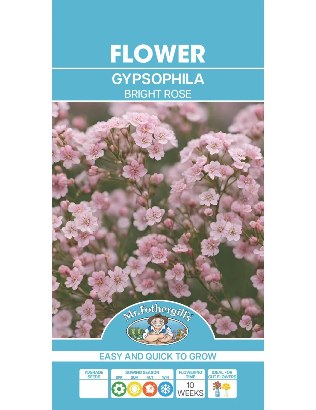 Gypsophila Bright Rose Seeds - Image 2