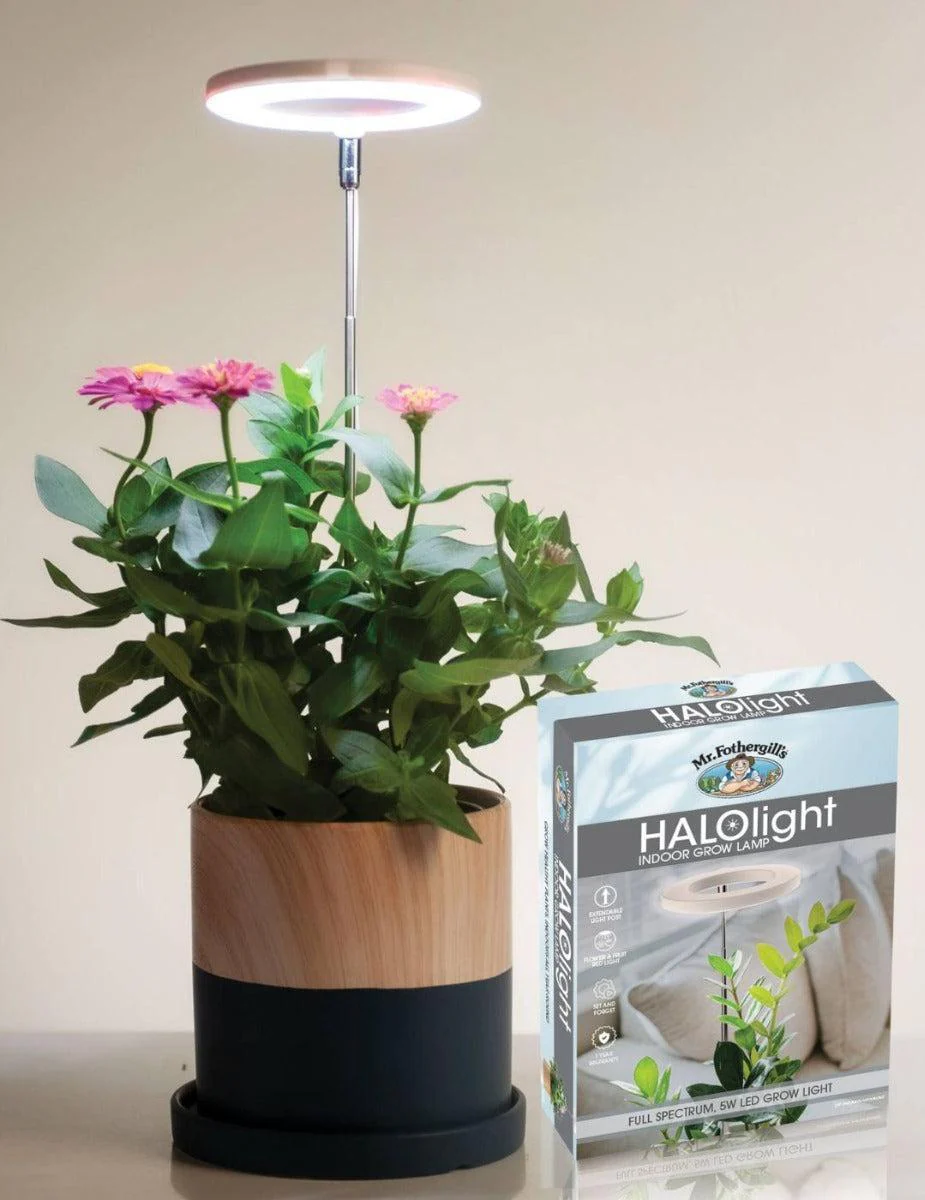 HALOlight - Image 4