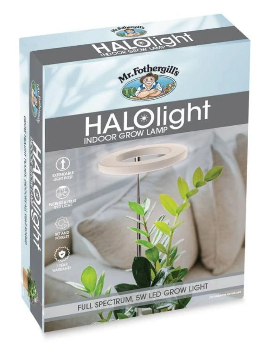 HALOlight - Image 5