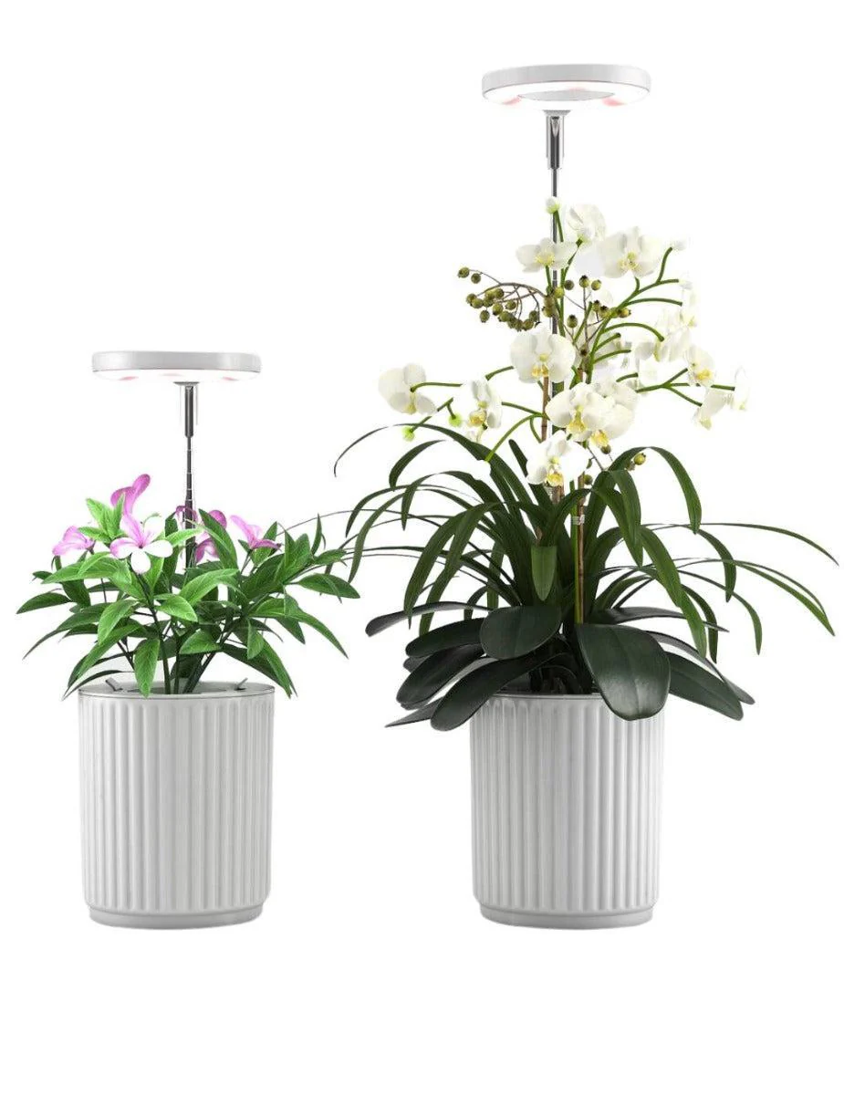 HYDROvase - Image 3