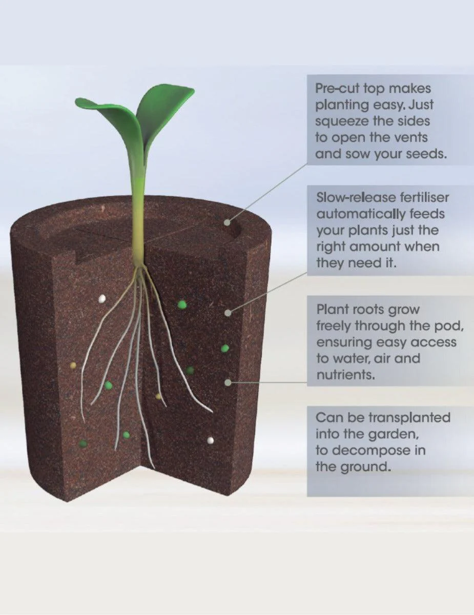 HYDROvase - Image 4