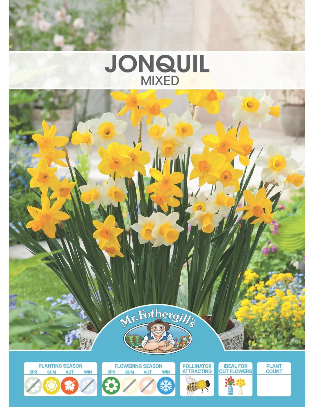 Jonquil Mixed Shades Bulbs - Image 2