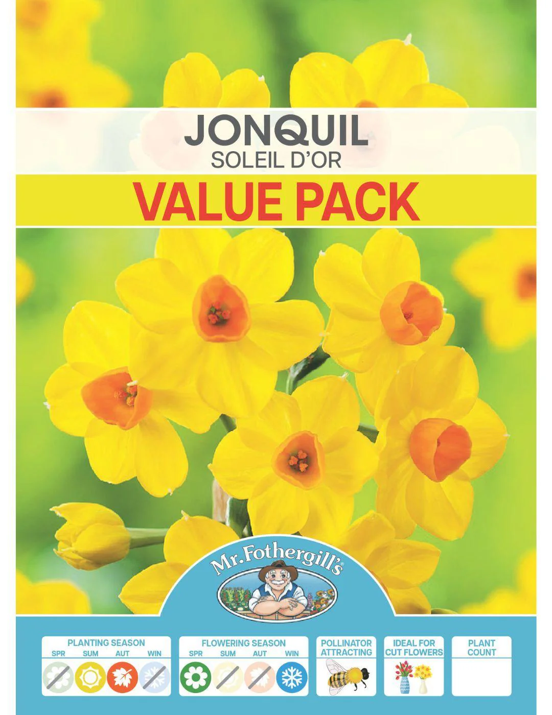 Jonquil Soleil d'Or Value Pack - Image 2