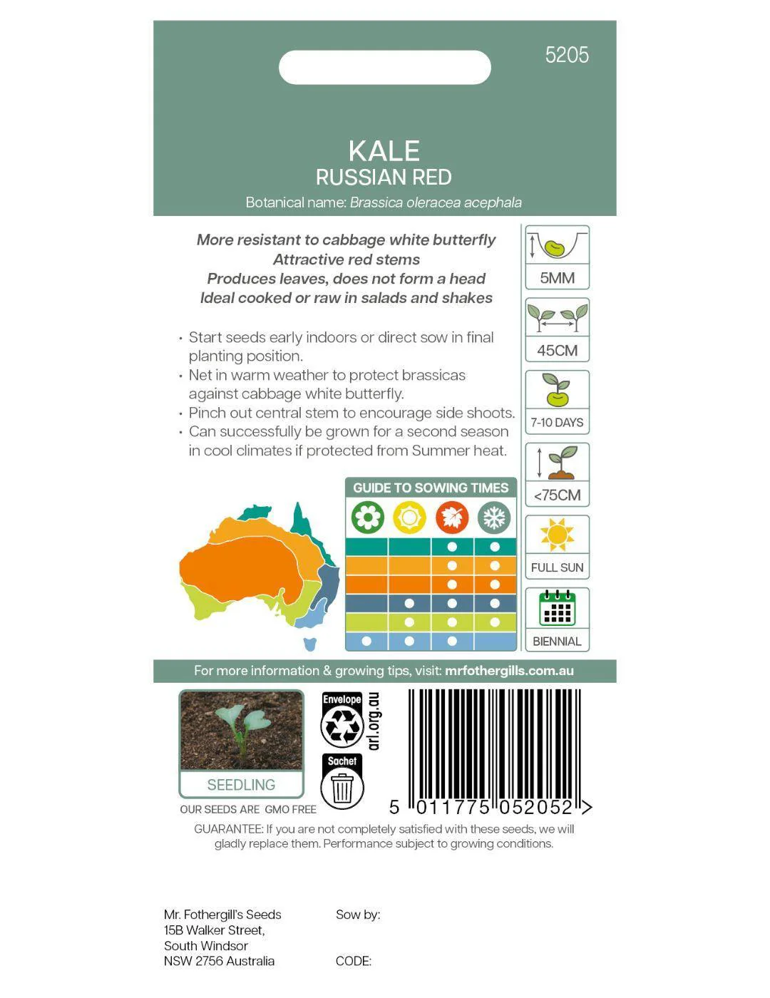 Kale Russian Red - Image 3