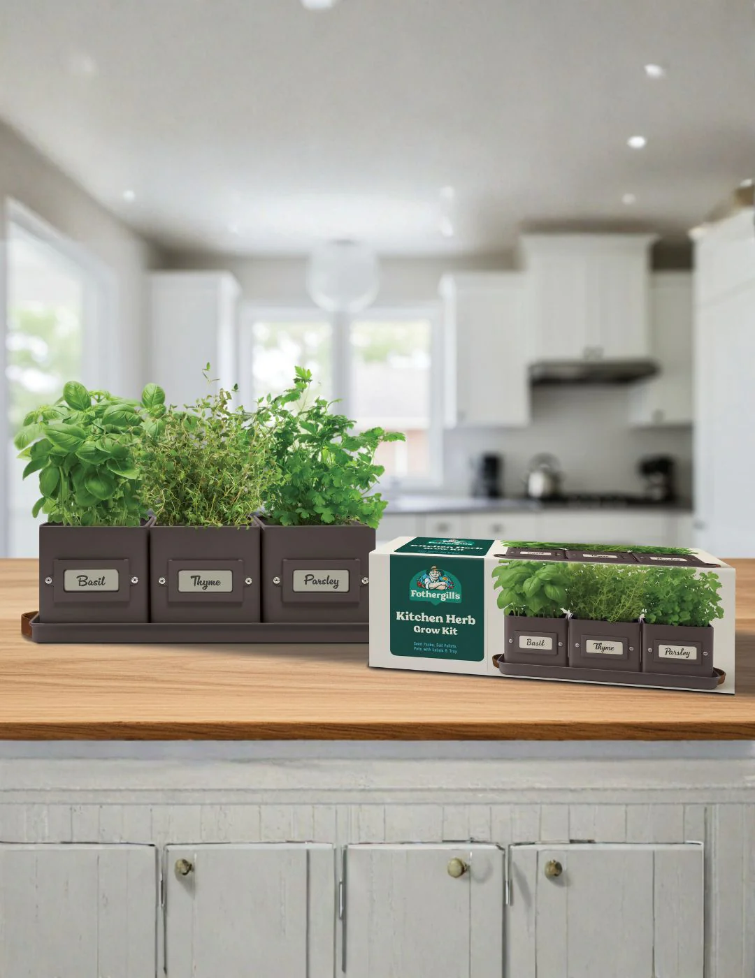 Kitchen Herb Grow Kit - Image 4