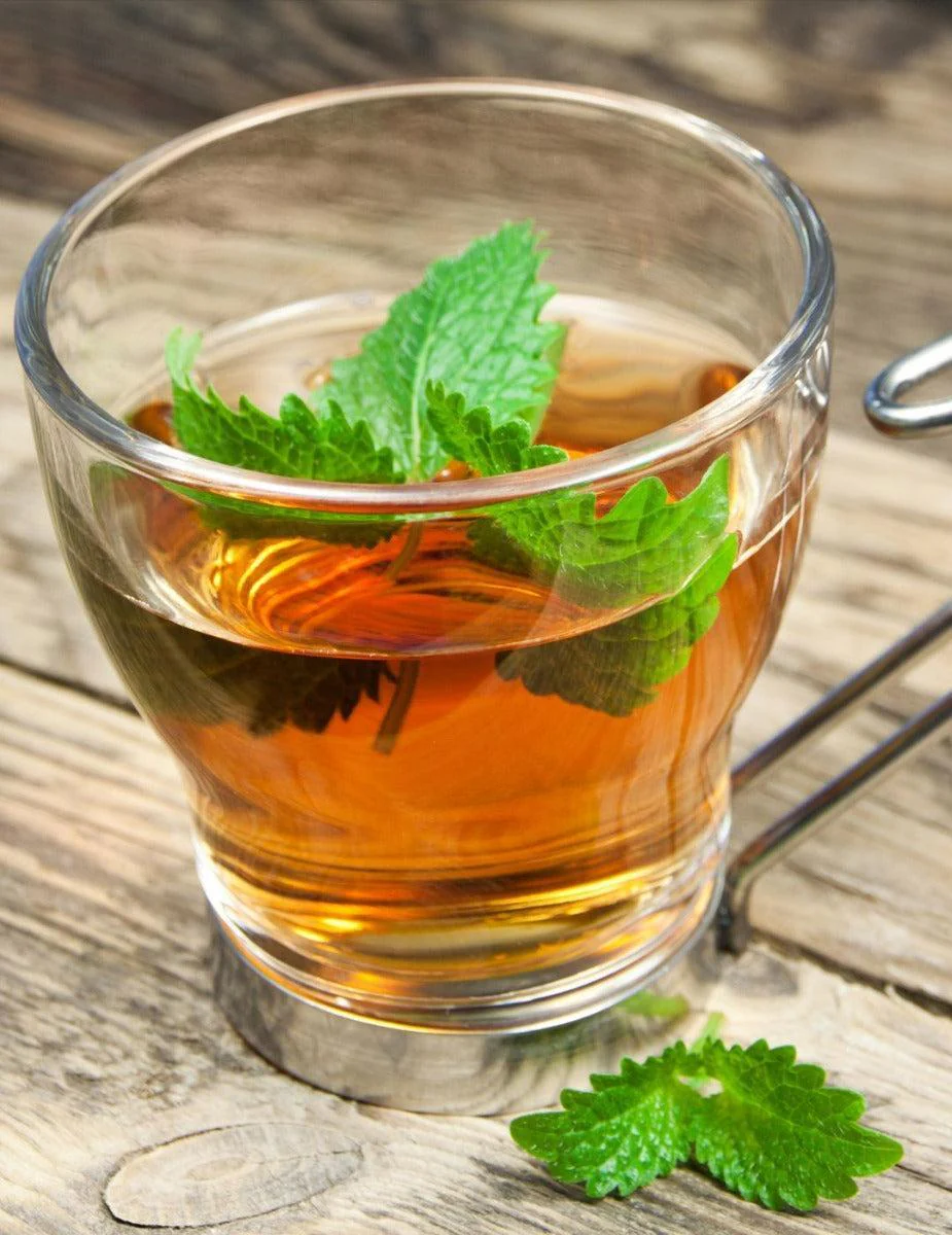 Lemon Balm - Image 2
