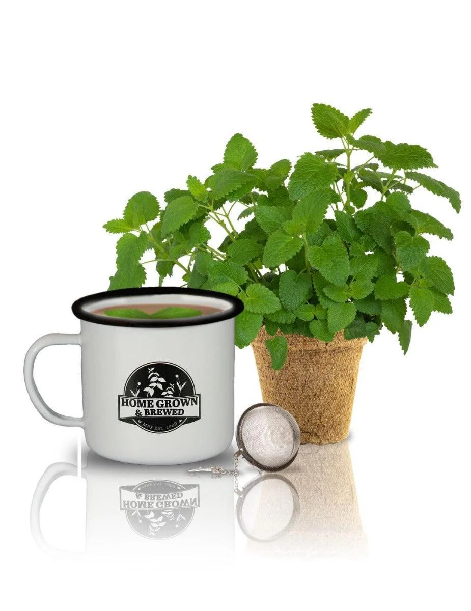 Grow & Brew Tea Kit - Lemon Balm - Image 2
