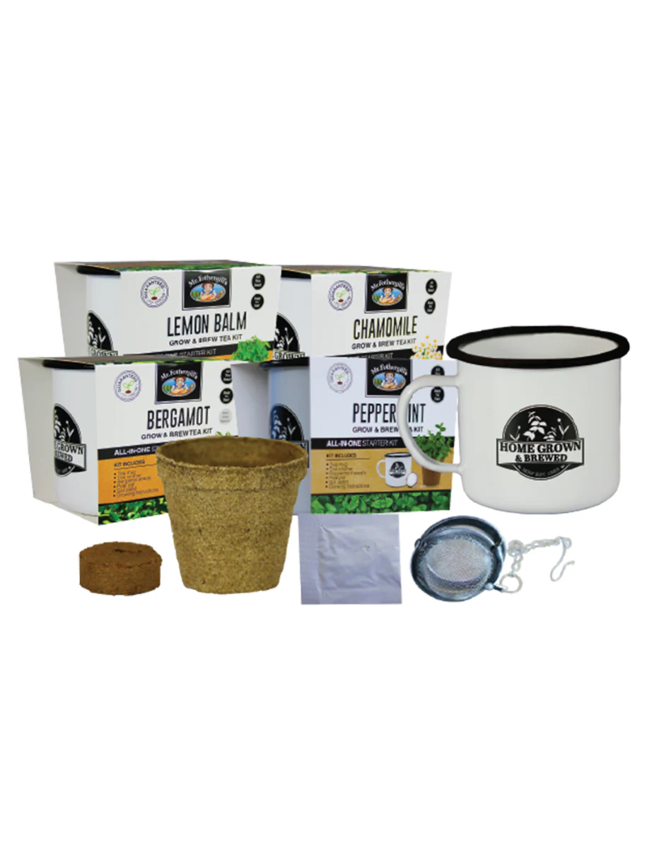 Grow & Brew Tea Kit - Lemon Balm - Image 5