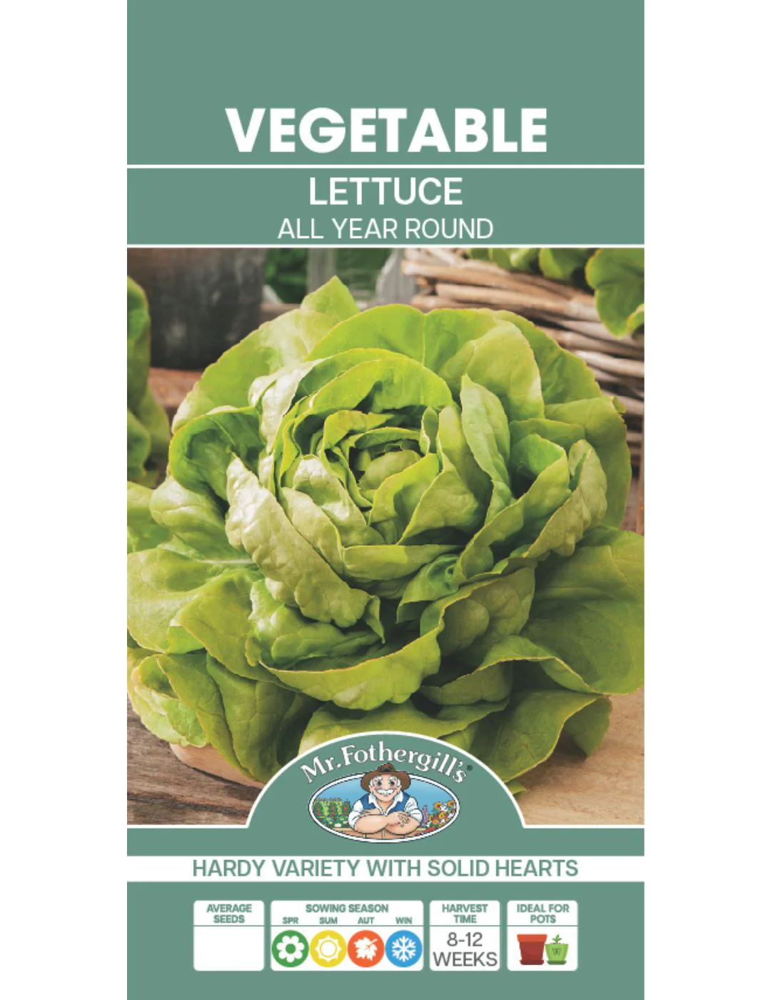 All Year Round Lettuce Seeds - Image 2