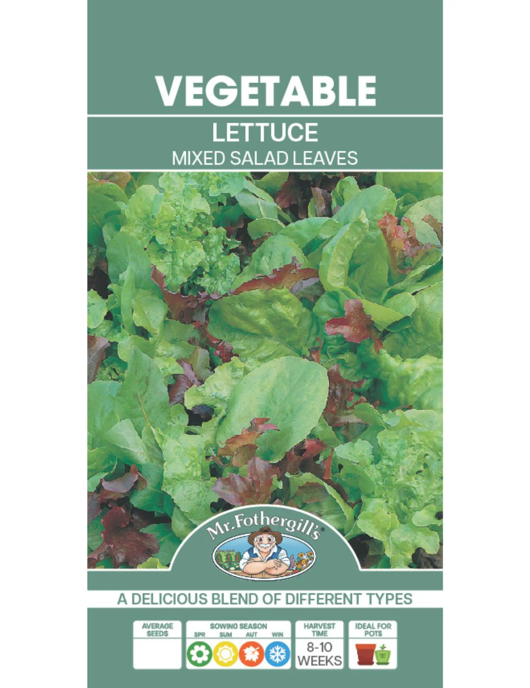 Lettuce Mixed Salad Leaves - Image 2