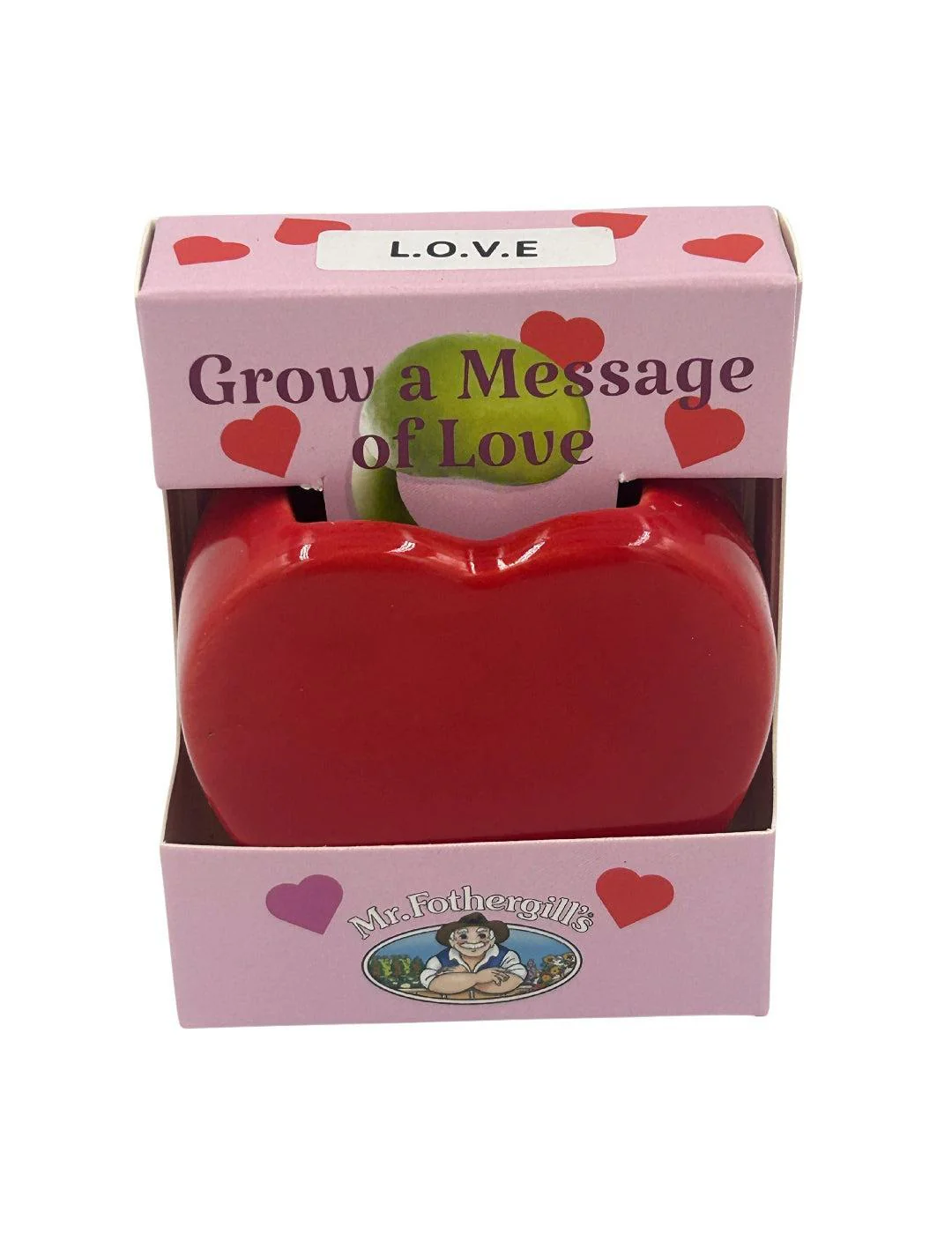 Love Heart Vase Grow Kit - Image 5