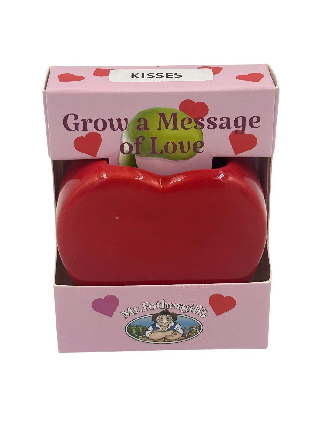 Love Heart Vase Grow Kit - Image 6