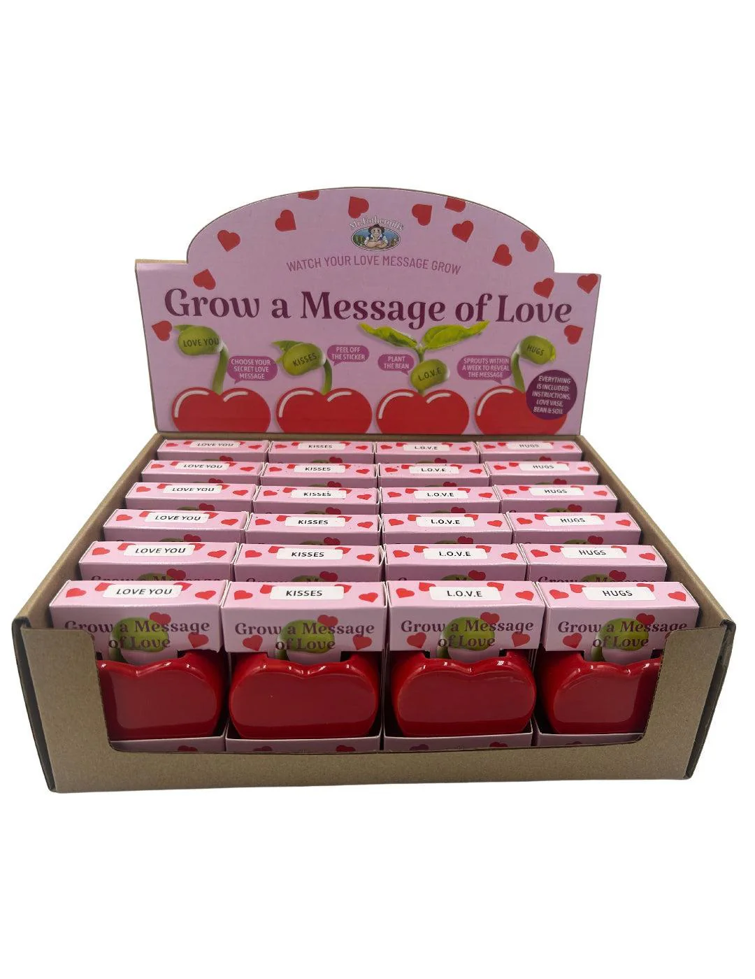 Love Heart Vase Grow Kit - Image 8