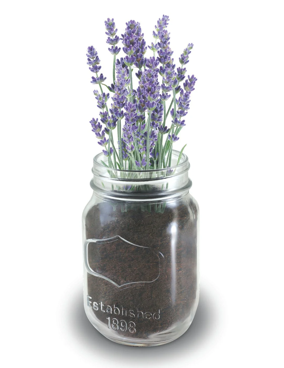 Mason Jar Grow Kits - Lavender - Image 2