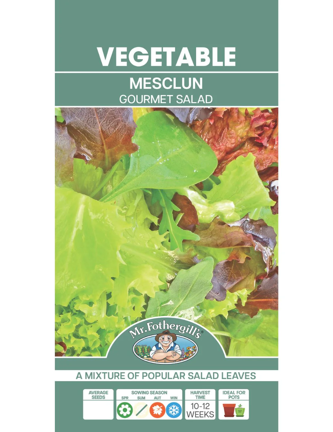 Mesclun Gourmet Salad - Image 2