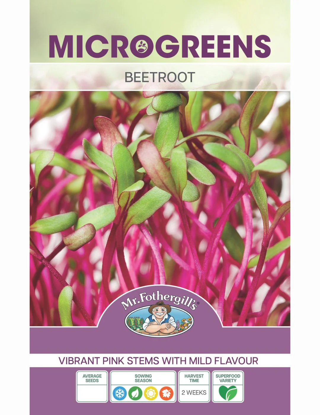 Microgreens Beetroot Seeds - Image 2