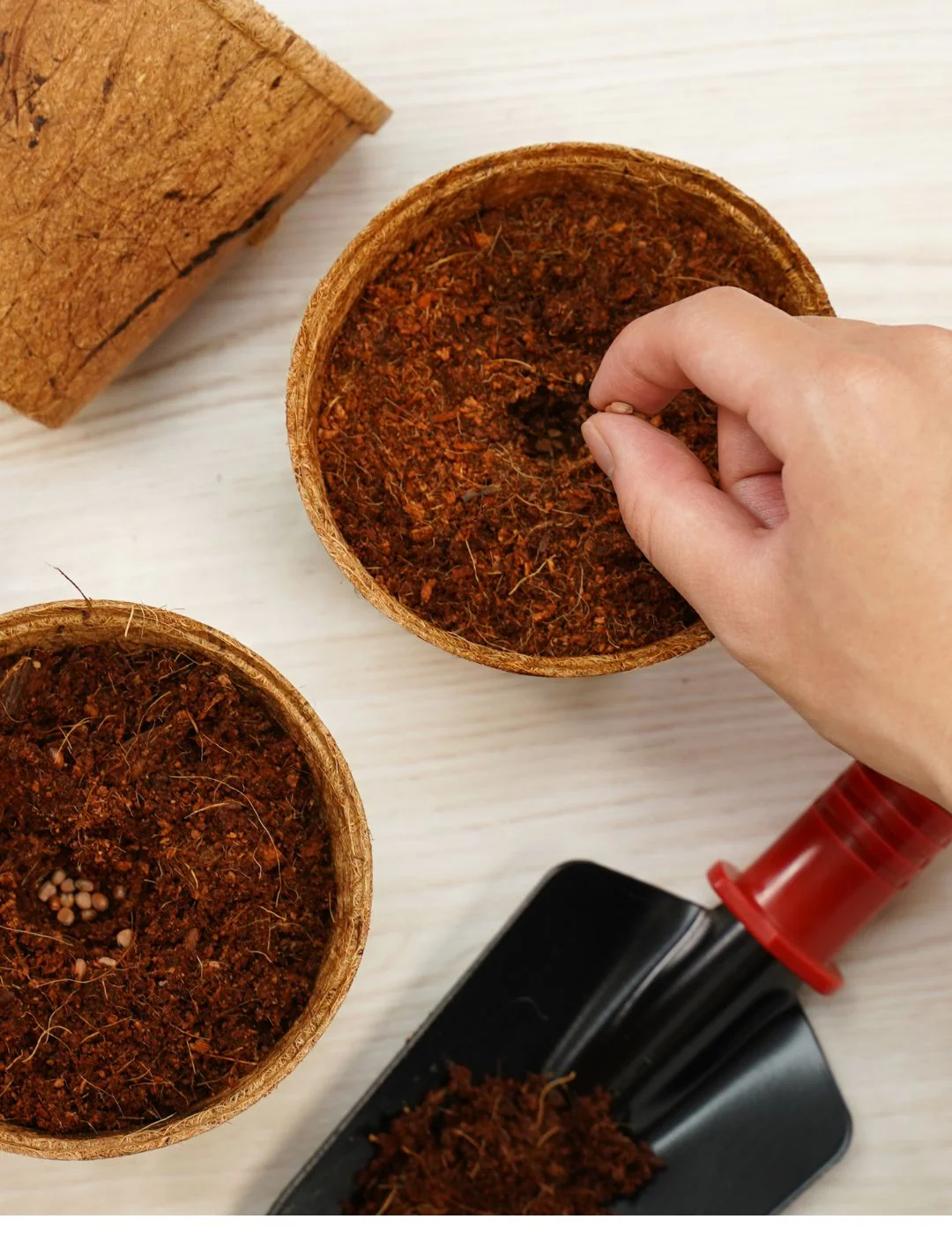 Mr Fothergill's 8cm Coco Fibre Pot (22 Pots) - Image 3