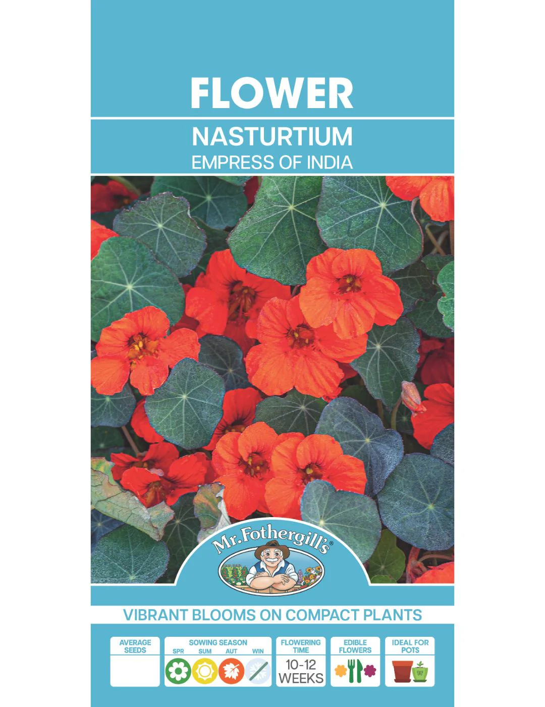 Nasturtium Empress of India - Image 2