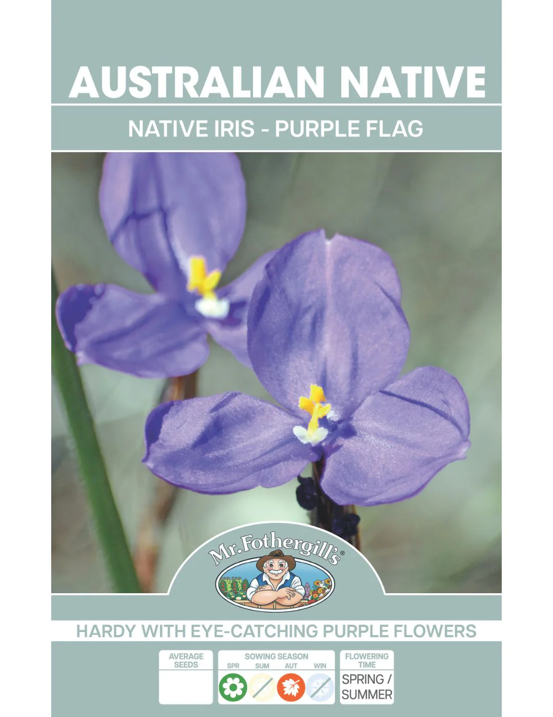 Native Iris (Purple Flag) WILDFLOWER - Image 2