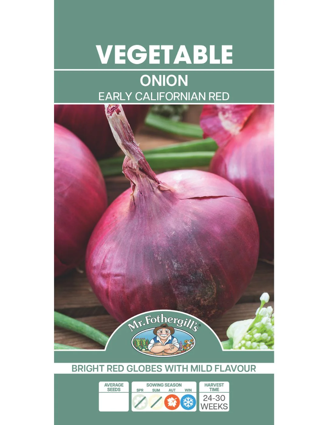 Onion Early Californian Red - Image 2