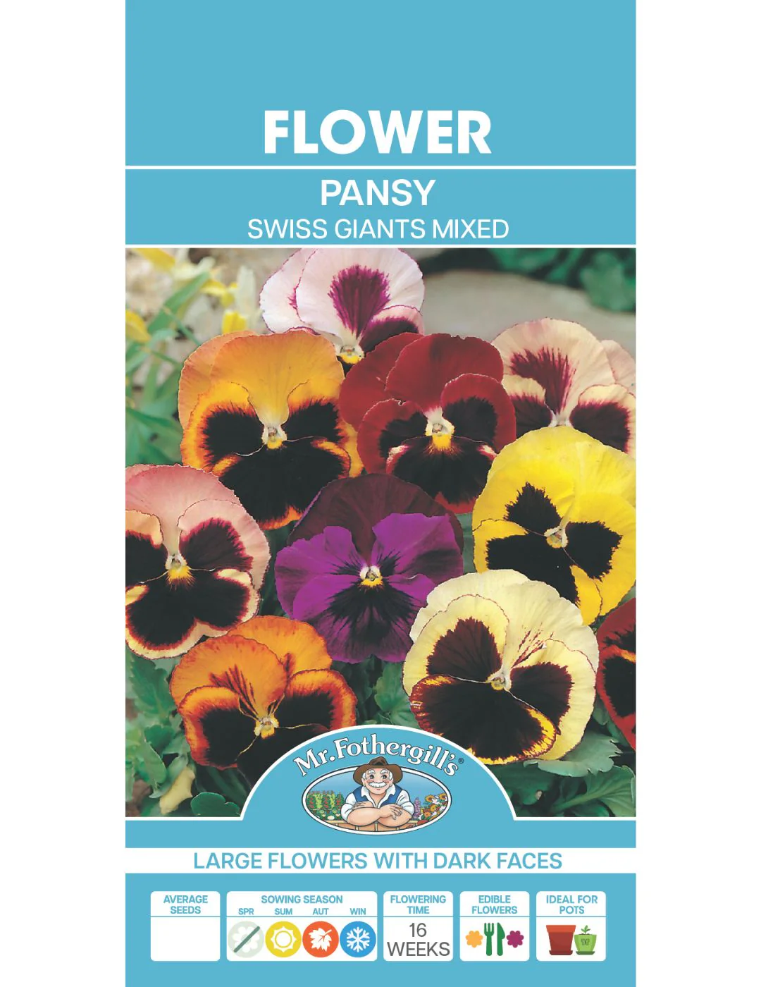 Pansy 'Swiss Giants Mixed' Seeds - Image 2