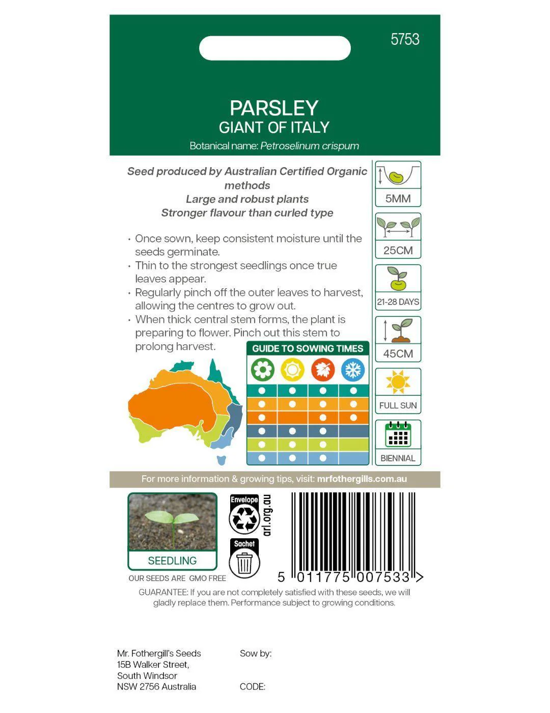 Parsley Giant of Italy ORGANIC - Image 3