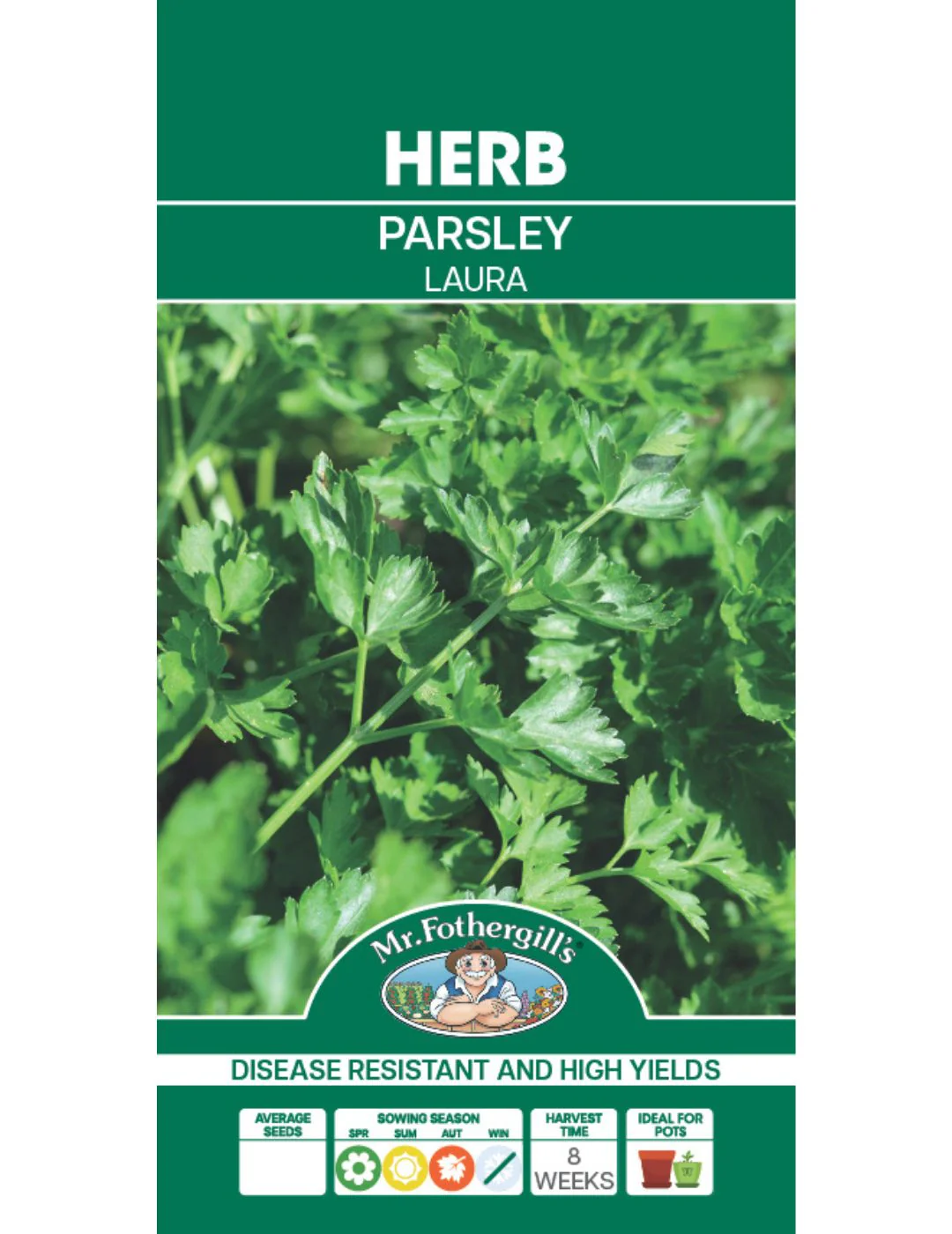 Parsley Laura - Image 2
