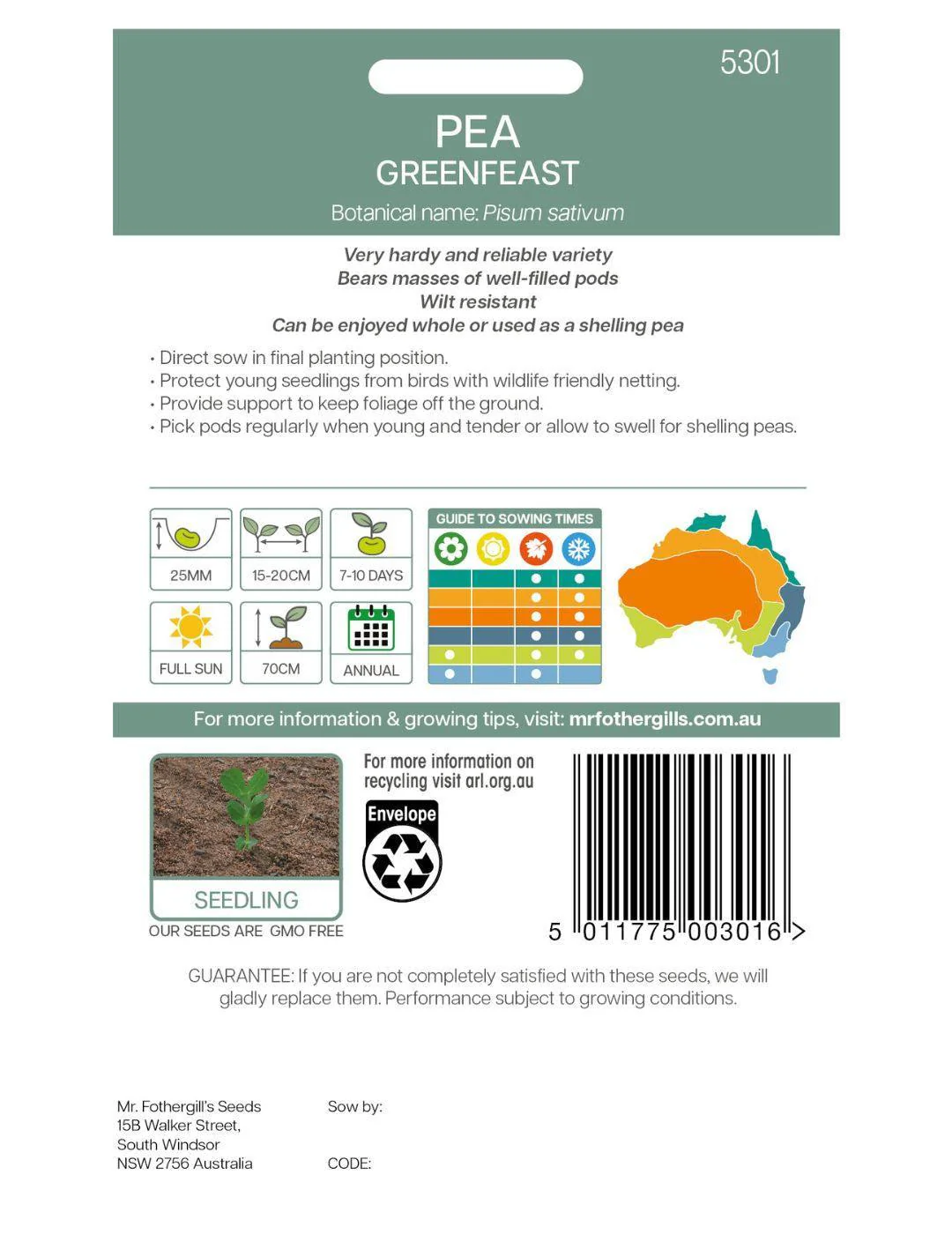 Pea Greenfeast - Image 3