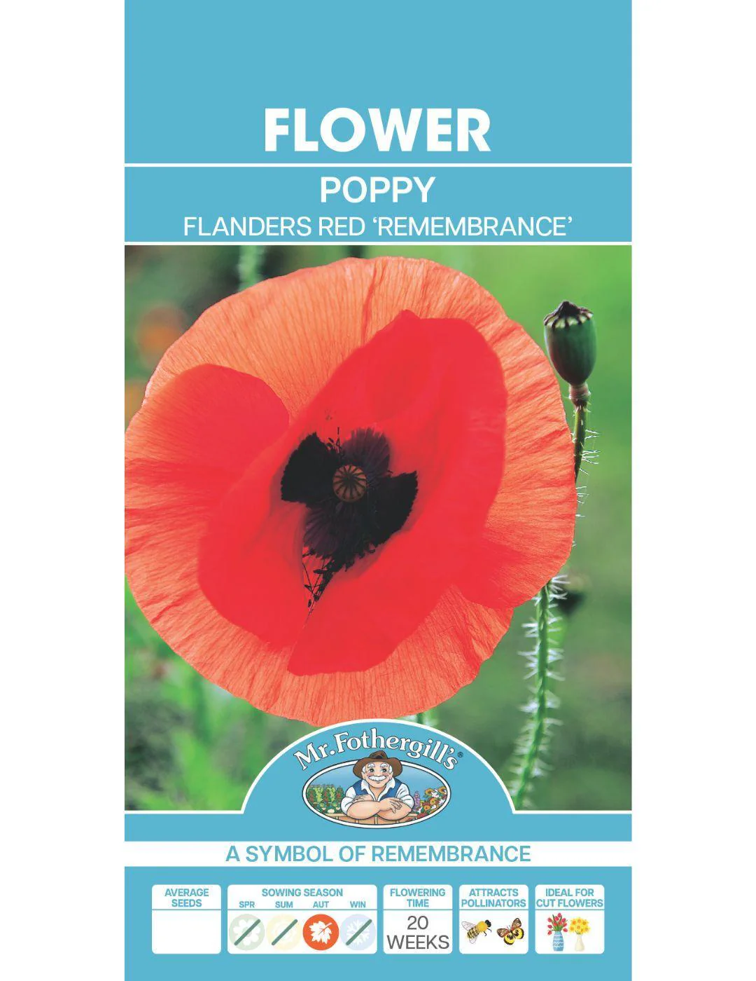 Poppy Flanders Red Remembrance - Image 2