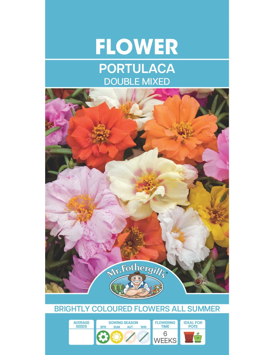 Portulaca Double Mixed - Image 2