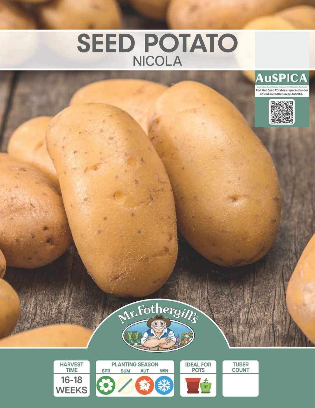 Potato Nicola 500g Bag - Image 2