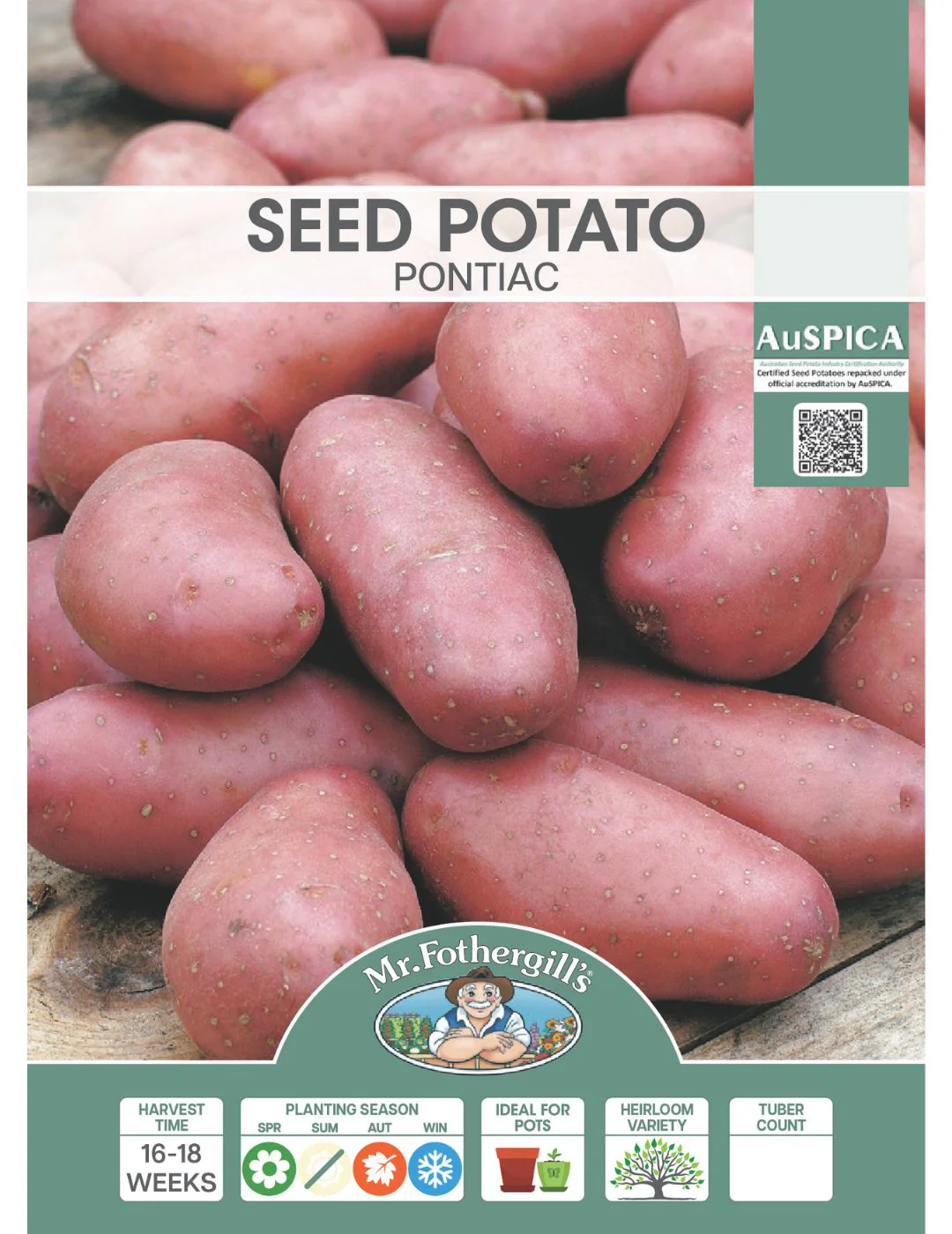 Potato Pontiac 500g Bag - Image 2