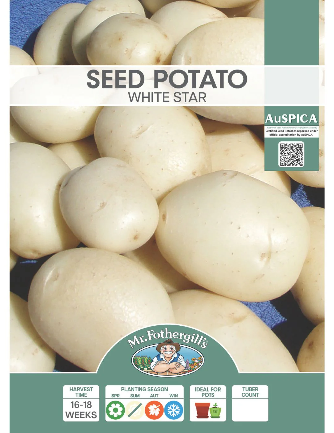 Potato White Star 1kg bag - Image 2