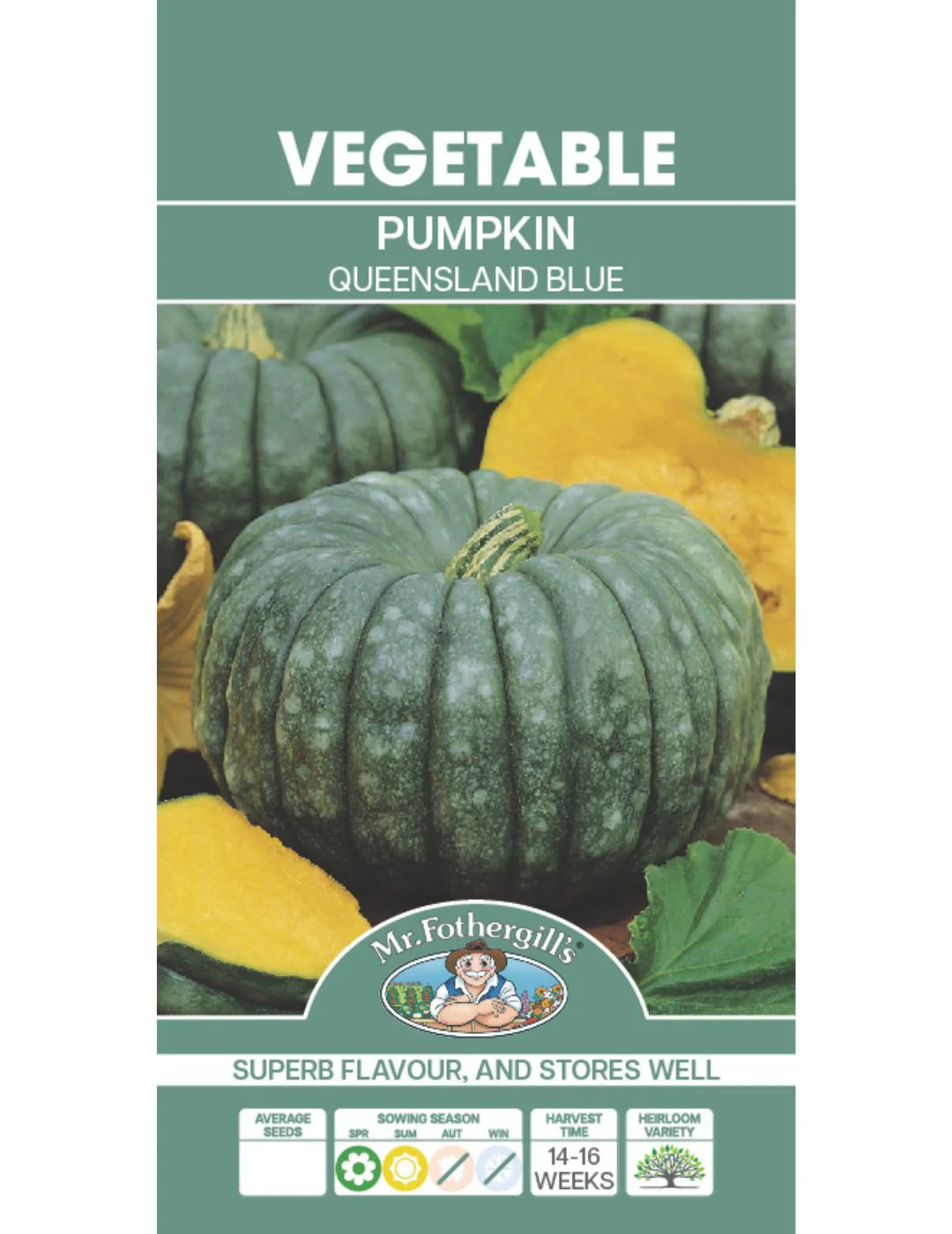 Queensland Blue Pumpkin Seeds - Image 2
