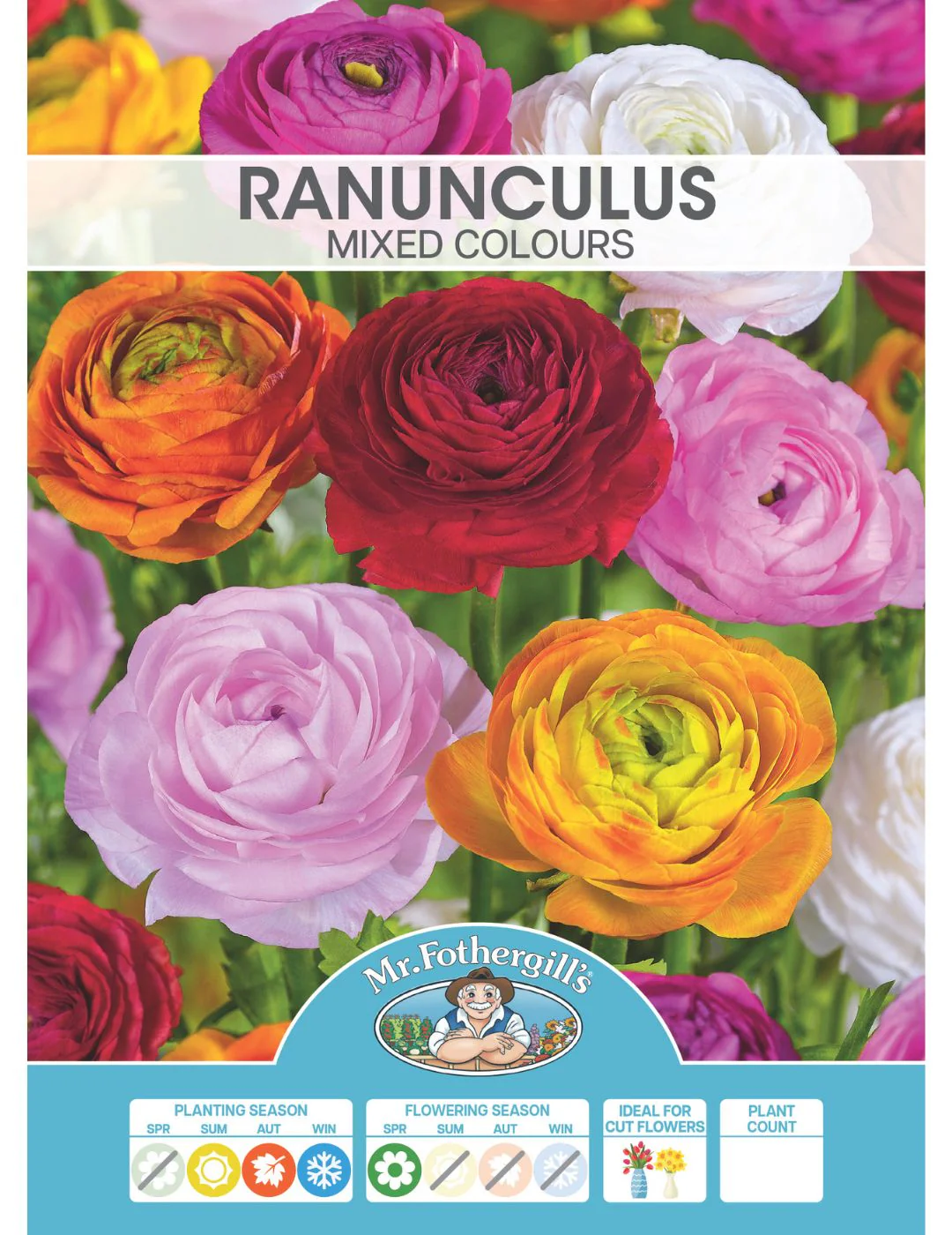 Ranunculus Mixed Colours Bulbs - Image 2