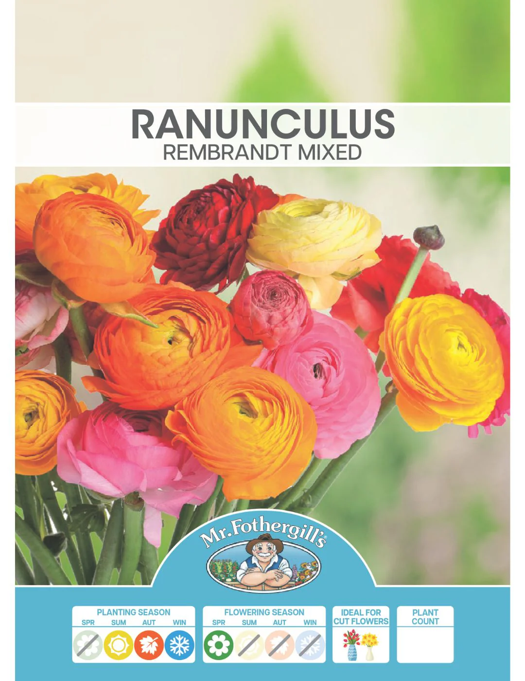Ranunculus Rembrandt Mixed Bulbs - Image 2
