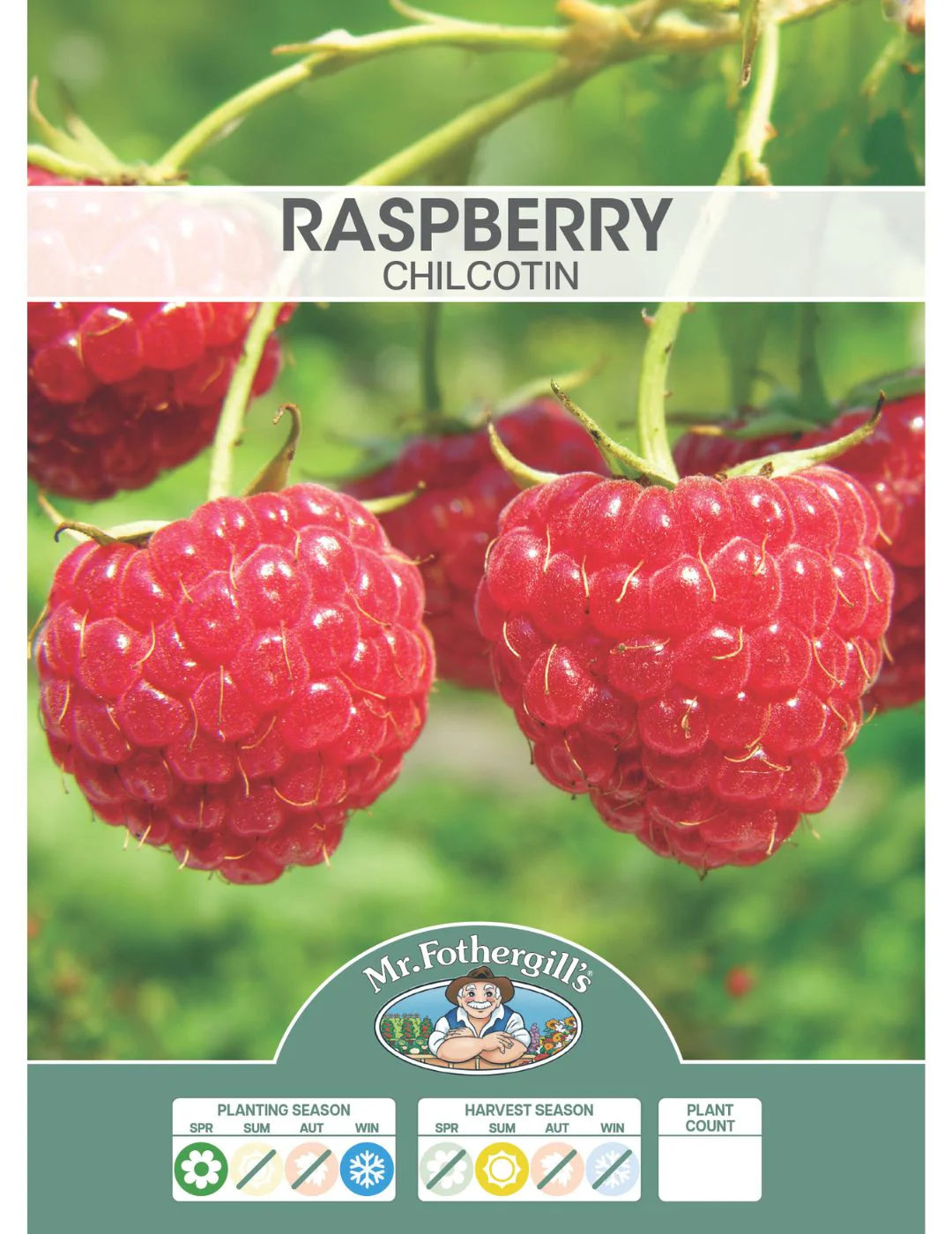 Raspberry Chilcotin - Image 2