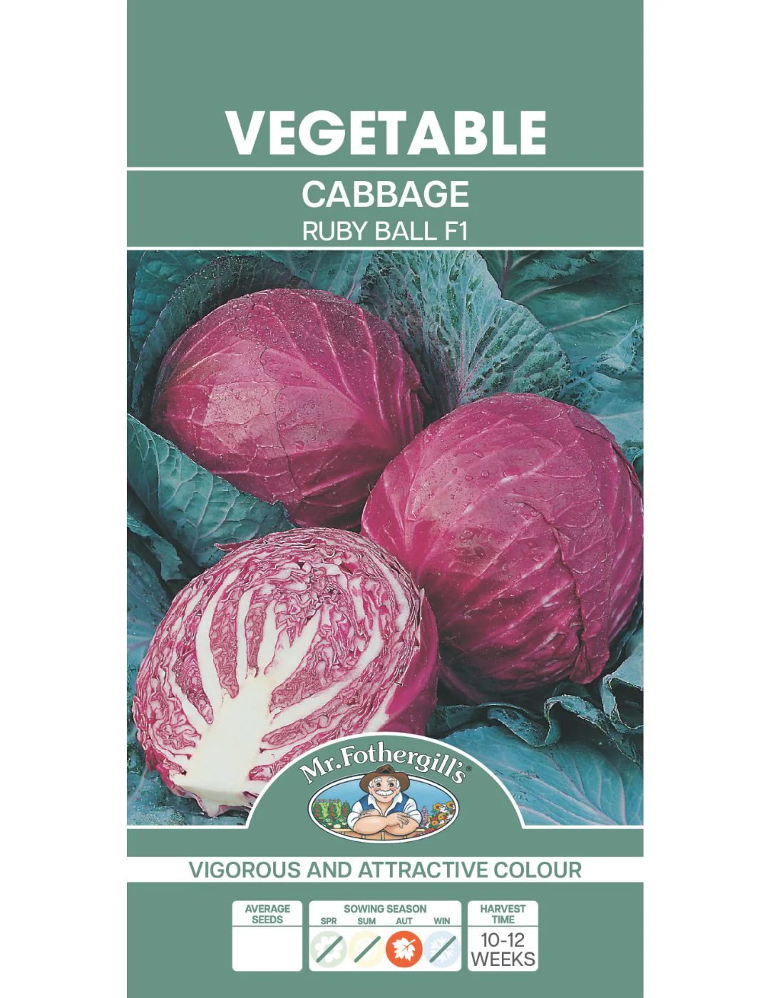 Cabbage Red Ruby Ball F1 - Image 2